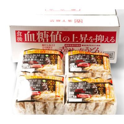 ふるさと納税 泉佐野市 機能性　玄うどん【5食入り×4P】