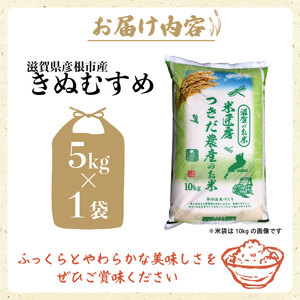 令和7年産 きぬむすめ 白米 5kg 新米