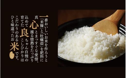  【令和7年産先行予約】＜全１２回定期便＞ 真庭市産コシヒカリ 米ぬか 牡蠣栽培米 『 一心良米 』 無洗米 ５ｋｇ×１２回（定期便） / お米 いっしんりょうまい 岡山県 真庭市 無洗米 米 コシヒ