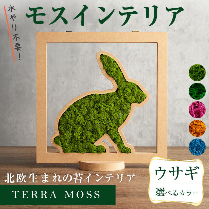 【ふるさと納税】モスインテリア「ウサギ」＜横200mm・高さ200mm・幅15mm＞ スプリンググリーン・アップルグリーン・フクシャ・フォールイエローブルー 選べるカラー 観葉植物 苔 コケ テラモス インテリア 植物 【結び】 sh029-A・sh029-B・sh029-C・sh029-D・sh029-E