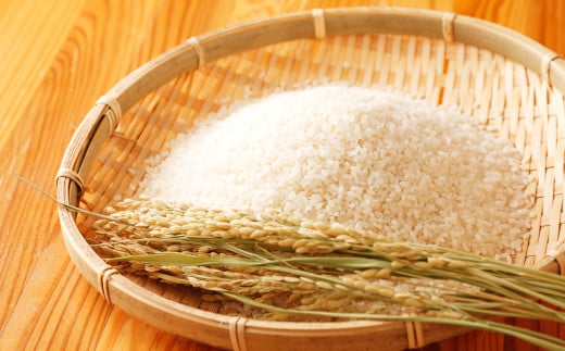 令和7年産 竹田銘水美人色選米 10kg 【白丹産：特別栽培米ヒノヒカリ】5kg×2袋