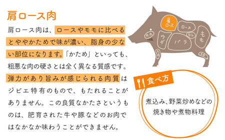 ＮＥＷジビエ 平戸いのしし 肩ロース 等級 優 スライス 400g 3〜4人前 高級 猪 イノシシ肉 すき焼き しゃぶしゃぶ 猪鍋 牡丹鍋 焼肉 どんぐり イベリコ イノシシ お鍋 天然猪 自然食 ギ