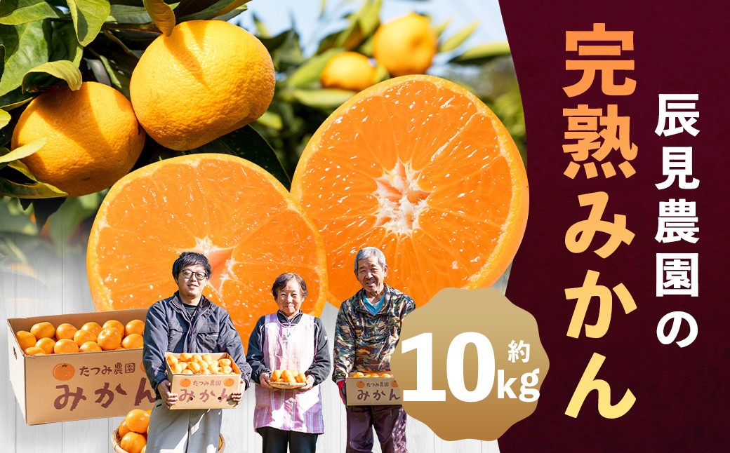 
                  N151x1 辰見農園の完熟みかん　１０ｋｇ【2026年10月下旬-2027年3月下旬発送予定】
                