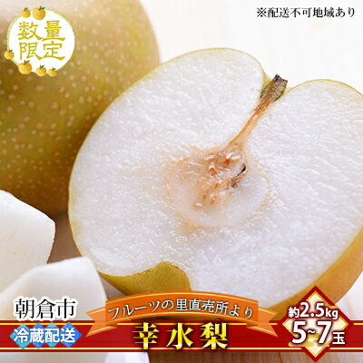 【ふるさと納税】梨 フルーツの里の直売所より 幸水梨 2.5kg お届け：2024年7月20日～8月10日 ナシ 果物 先行予約 子供 おやつ くだもの 　お届け：2025年7月20日～8月10日