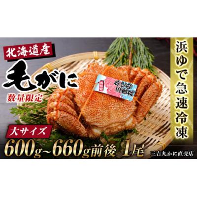 ふるさと納税 白老町 北海道産ボイル毛ガニ 600g〜660g前後×1尾 冷凍