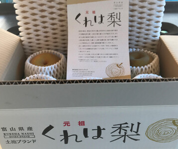 【先行受付】元祖くれは梨 5kg箱
