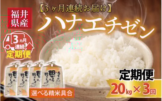 【先行予約】【令和8年産・新米】定期便 ≪3ヶ月連続お届け≫ ハナエチゼン20kg×3回 計60kg ～本原農園からまごころコメて～（玄米）【2026年9月上旬以降順次発送予定】 [K-8905_02]