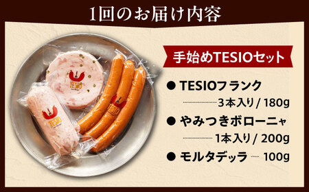 【全12回定期便】TESIOの自家製ハム＆ソーセージ 『手始めTESIOセット』 豚肉 ハム ソーセージ 小分け 真空パック 沖縄市 / TESIO[BCAD009]