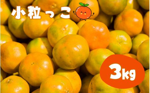 【先行予約】温州みかん 「小粒っこ」 3kg (極早生・早生・中生・晩稲)【2S～3Sサイズおまかせ】【2024年10月中旬～2025年2月下旬までに順次発送】＜味好農園＞/温州 みかん 小玉 蜜柑 柑橘 みかん 極早生 早生 中生 晩稲 小粒 果物 フルーツ