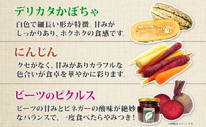 北海道産 旬の有機栽培野菜 5kg以内 じゃがいも にんじん 玉ねぎ かぼちゃ ビーツ ピクルス 有機栽培 オーガニック 有機野菜 有機jas認証 新鮮 お取り寄せ 送料無料 ニセコ