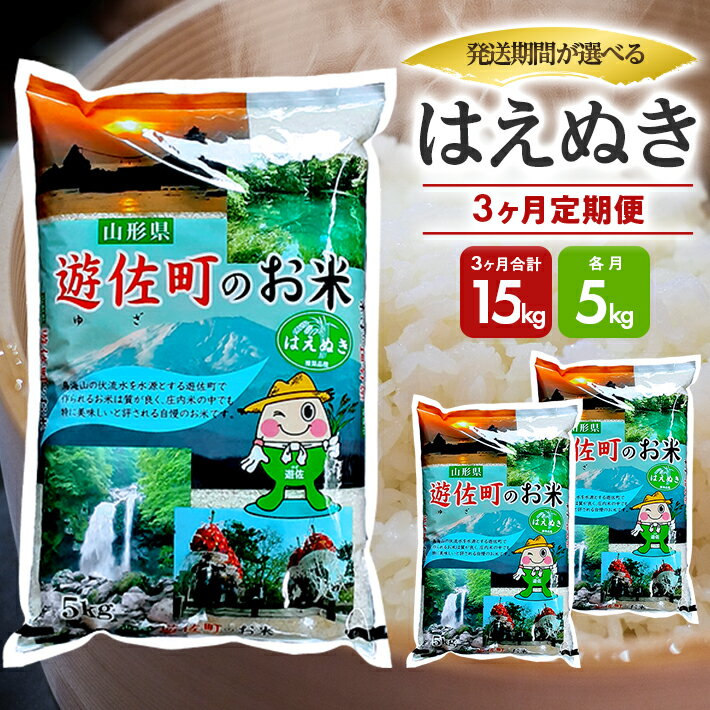 【ふるさと納税】≪3ヶ月定期便≫ はえぬき 5kg×3ヶ月連続 計15kg 山形県遊佐産 ご希望期間の毎月中旬頃お届け 東北 遊佐町 庄内地方 庄内平野 米 お米 精米 白米 庄内米 ごはん ご飯 セット 連続定期便