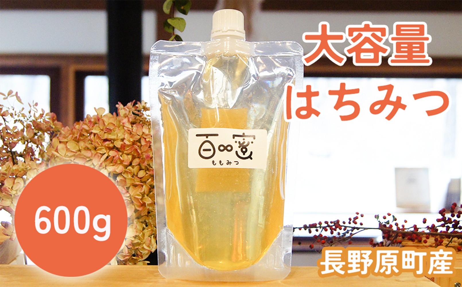 
            長野原町産 生はちみつ 大容量600gパウチ
          