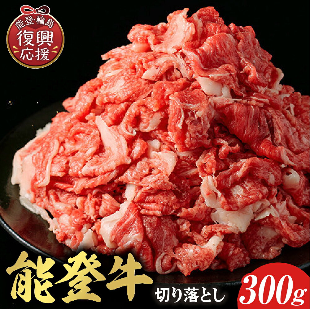 【ふるさと納税】【能登半島地震復興支援】【和牛セレブ】能登牛 切り落とし 300g