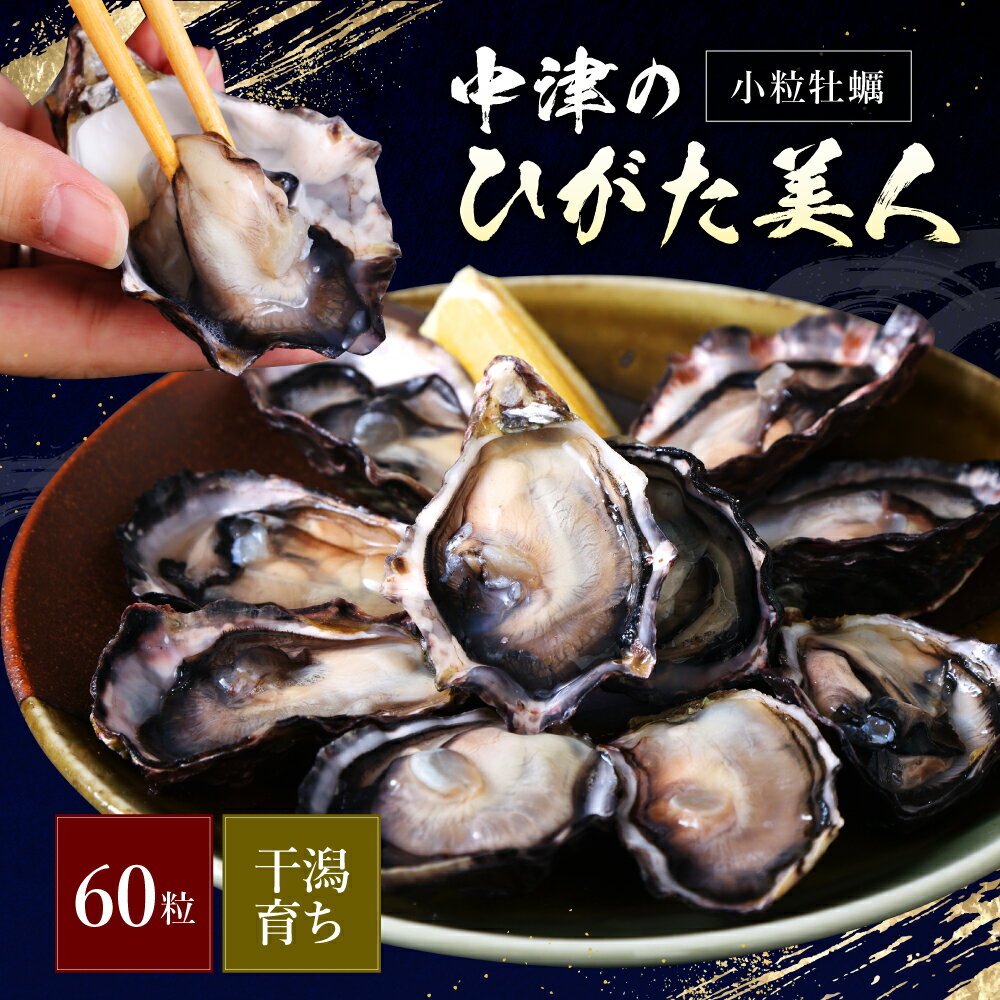 【ふるさと納税】【期間限定】ひがた美人 (牡蠣 60粒) 堪能セット | 養殖 冷蔵 かき オイスター 酒の肴 つまみ おかず 大分県産 九州産 国産 大分県 中津市 送料無料【発送は令和7年12月～令和8年4月末までの予定】