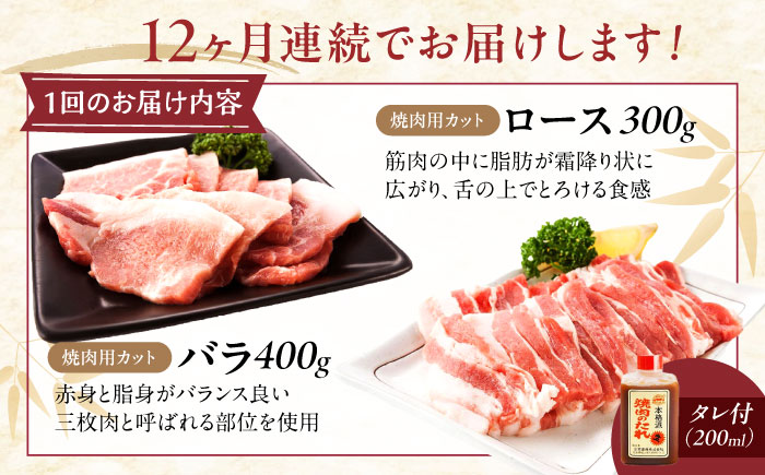【全12回定期便】冷凍 肉「瀬戸のもち豚せと姫」焼肉セット計約700g  (バラ400g・ロース300g・自家製焼肉のタレ) 広島県福山市/日本畜産株式会社 肉 豚肉 焼肉 セット 豚バラ ロース タ