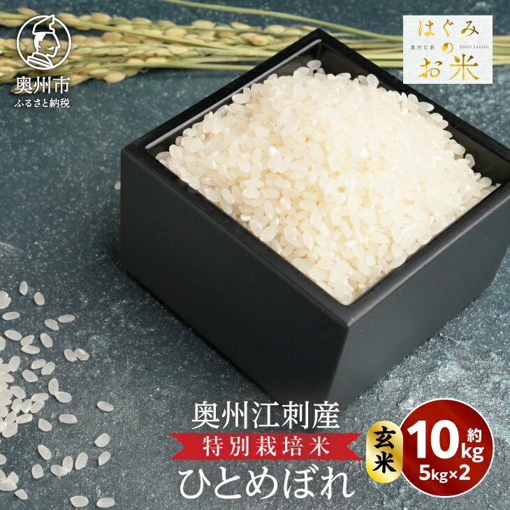 【ふるさと納税】 特別栽培米 hugmiのお米 奥州江刺産 ひとめぼれ 約10kg(約5kg×2袋) 玄米 数量限定 ツヤ 粘り 冷めても美味しい ご飯 お米 おにぎり お弁当 岩手県 奥州市 [BJ007]