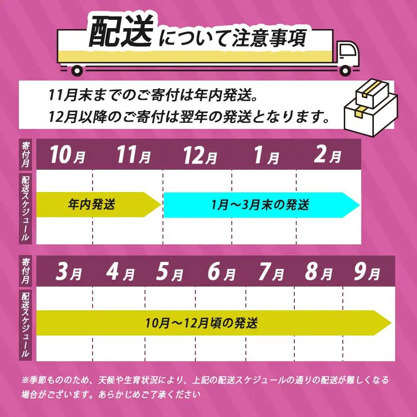 さつまいも TVで紹介！ 【 アフター保証 】甘くておいしい！ 紅はるか 5kg