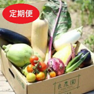 【ふるさと納税】 D-04　採れたて！良農園のおいしい野菜の定期便【年6回：偶数月配送】｜新鮮 朝どれ 農家直送 旬 野菜 野菜ソムリエ イタリア野菜 新種野菜 珍しい 西洋野菜