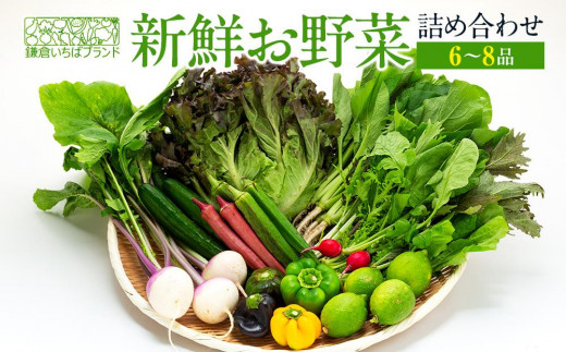 「鎌倉いちばブランド」新鮮お野菜詰め合わせセット  6～8品 ｜ 人気 野菜 詰合せ 詰め合わせ セット 新鮮野菜 詰め合わせセット 野菜セット 季節の野菜 鎌倉野菜 地元産 お取り寄せ おすすめ 送料無料 神奈川 鎌倉