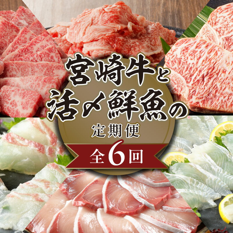 【ふるさと納税】宮崎牛と活〆鮮魚の豪華 6回 定期便 宮崎牛 A5等級 ブリ 真鯛 ヒラメ 活〆 鮮魚 魚介 牛肉 サーロインステーキ サーロイン ステーキ 小間切 焼肉 お刺身 半身 ロイン 国産 肉のマル誠 請関水産 九州 宮崎県 延岡市 お取り寄せ お取り寄せグルメ 送料無料