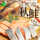 【ふるさと納税】 秋鮭 切り身 ( 無塩 )【 内容量が選べる1.4kg ～ 5.6kg 】（ ふるさと納税 鮭 ふるさと納税 秋鮭 サケ ふるさと納税 シャケ ふるさと納税 鮭 切り身 北海道 別海町 ふるさと 海鮮 魚 切身 ふるさと納税 訳あり ふるさと納税 訳あり 不揃い 北海道別海町 ）