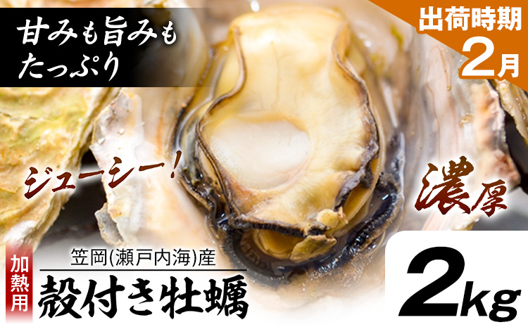 牡蠣事業者応援！ 笠岡産 (瀬戸内海産) 殻付き牡蠣 (加熱用) 2kg《2月上旬-2月末頃出荷》岡山県 笠岡市 かき カキ 牡蠣 生牡蠣 瀬戸内海産 殻付き