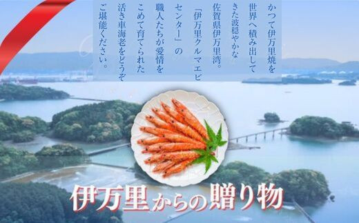 画像はイメージです。