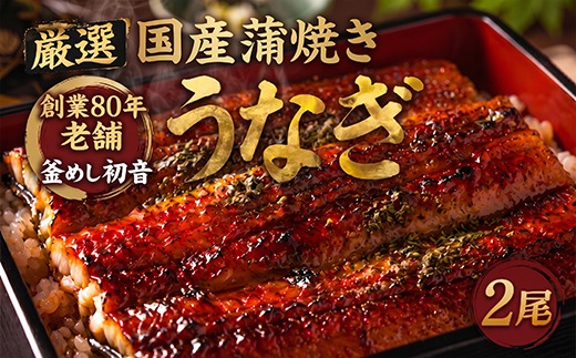 ＨＮ１０５初音の高知県産うなぎ蒲焼き２尾