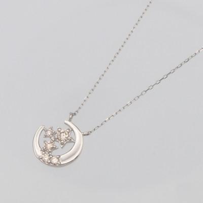 ふるさと納税 昭和町 PT900/PT850 0.10ct ダイヤモンド ペンダントネックレス HH-019741 |  | 01