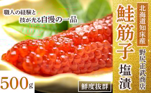 
            北海道 知床産 鮭筋子 ( 塩漬 ) 500g _ すじこ 筋子 スジコ 鮭 塩漬け 海鮮 魚介 魚卵 人気 美味しい おかず 【1213308】
          