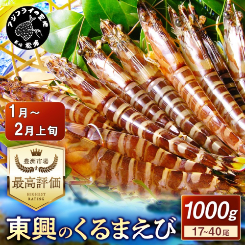 【先行予約】【宅配BOX不可】東興のくるまえび1kg入【1月～2月上旬発送】( くるまえび 東興のくるまえび 車海老 海老 エビ )【D5-010-01M】