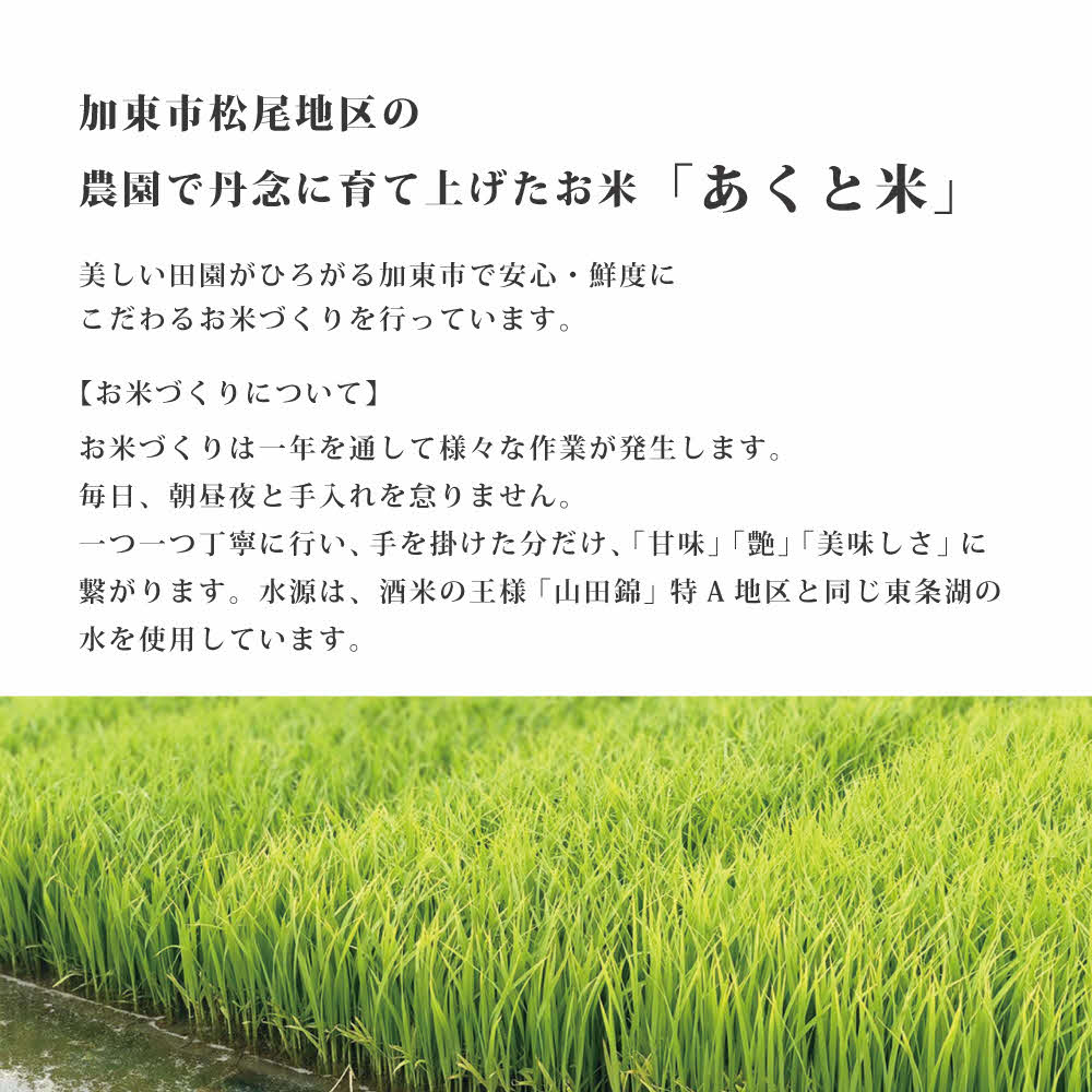 定期便 お米 令和7年産 アクト米 ヒノヒカリ 白米 10kg 3ヶ月連続お届け 