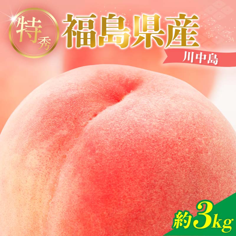 2026年先行予約 糖度12度以上 特秀 福島県産 川中島白桃 約3kg 透過式光センサー選別  数量限定 期間限定 桃 もも モモ 果物 くだもの フルーツ F20C-778
