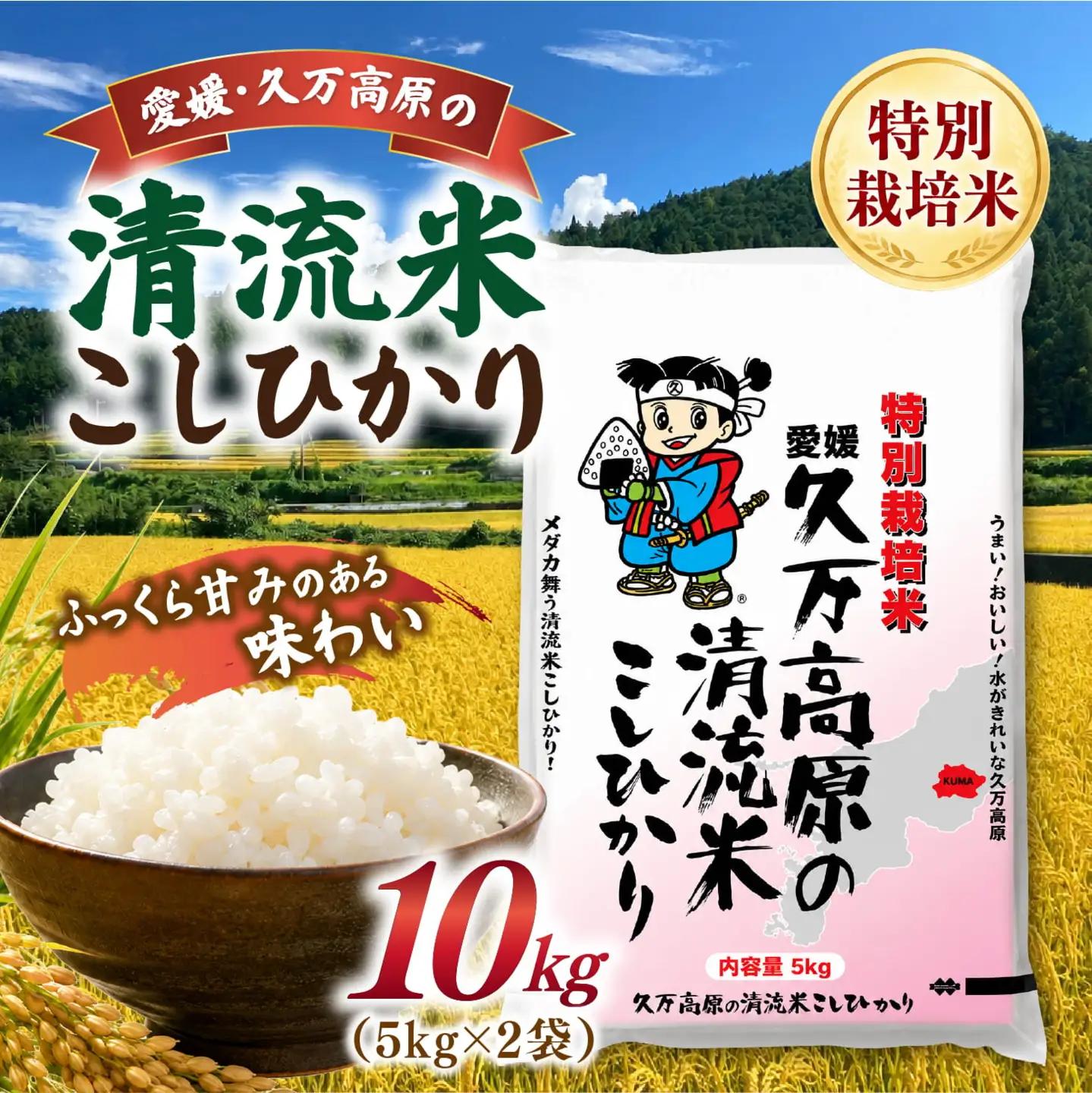 【R8年産】新米 久万高原町 清流米 こしひかり 10kg｜特別栽培米 減農薬 減化学肥料 コシヒカリ 白米 愛媛県産 米 ※2026年9月～発送