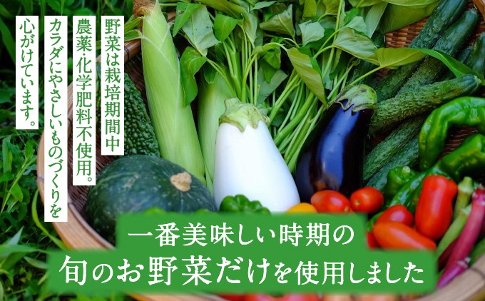 【能勢特産】《農家手づくり》便利な刻みピクルス 旬野菜のタルタルミックスピクルス 4本セット | べじたぶるぱーく株式会社