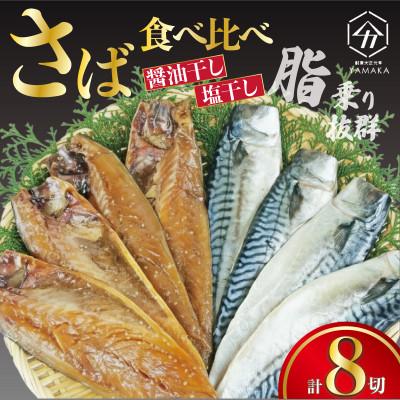 ふるさと納税 沼津市 さば食べ比べ セット 8切 醤油干し 塩干し