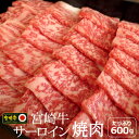 【ふるさと納税】宮崎牛 サーロイン 焼肉 600g 約6～7人前 霜降り bbq 和牛 牛肉 国産 宮崎県産 送料無料