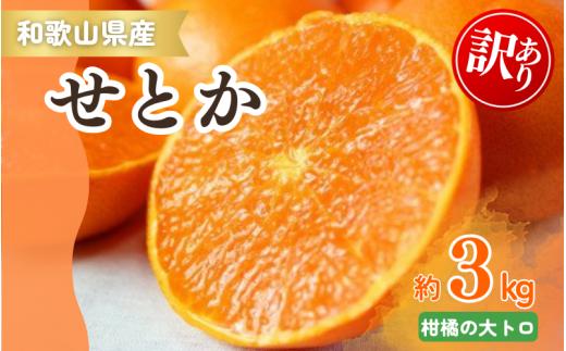 【ご家庭用訳あり】ジューシー柑橘 せとか 約3kg【先行予約】※2026年2月中旬頃〜2026年3月中旬頃発送予定（お届け日指定不可） せとか みかん ミカン 柑橘 フルーツ 果物 くだもの【uot834A】