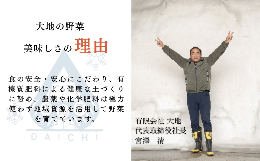 【スイートコーン 先行予約】雪室予冷 白とうもろこし 雪の妖精  2L?L 10本入 | 津南町 有限会社大地 173085-007