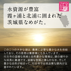 【2025年1月中旬より順次発送】★数量限定★餃子 美明豚「びめいとん」のジューシー餃子 1袋(30個入り)｜餃子 ぎょうざ ギョウザ 美明豚 数量限定 びめいとん 肉 肉加工品 豚肉 お肉 ジューシ