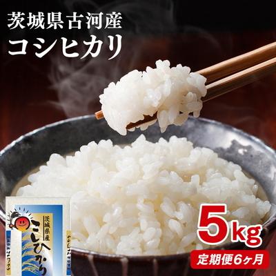 ふるさと納税 古河市 【定期便 6か月】【新米】令和8年産 古河市産コシヒカリ 5kg ※2026年9月〜発送 _DP35