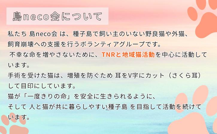 【返礼品なし】猫愛護活動支援 NFN639 【125PT】// 特定非営利活動法人　種子島 島neco会