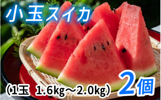【先行予約】小玉スイカ（ピノガール）　種まで食べられるスイカ ＊26年7月上旬以降順次発送　フルーツ 夏 スイカ 西瓜 果物 くだもの すいか ピノガール ピノ・ガール 小玉すいか 滑川市 富山 北陸