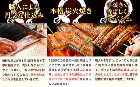  鰻の蒲焼き 徳島県産 徳島県産 うなぎの蒲焼き 1尾 タレ・山椒付