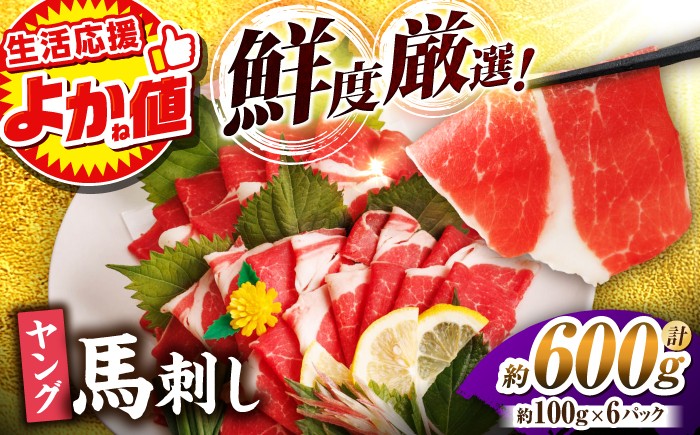
                  ＼生活応援よか値キャンペーン／ヤング 馬刺し 計600g（6pc）  馬刺し ヤング 馬刺し 【馬刺しの郷 民守】馬刺し 赤身 熊本 山鹿  馬肉 お肉 刺身 冷凍 真空パック 小分け 送料 無料 特産品  [ZBL013-CP]
                