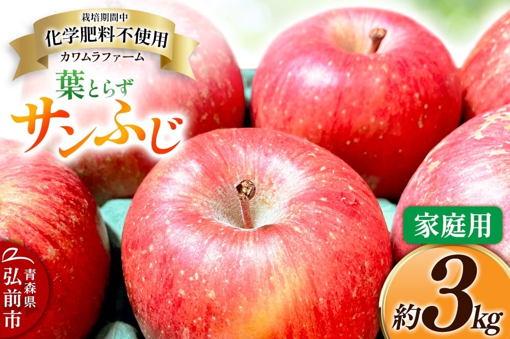 
            りんご【先行受付】葉とらず サンふじ 約3kg カワムラファーム 家庭用
          