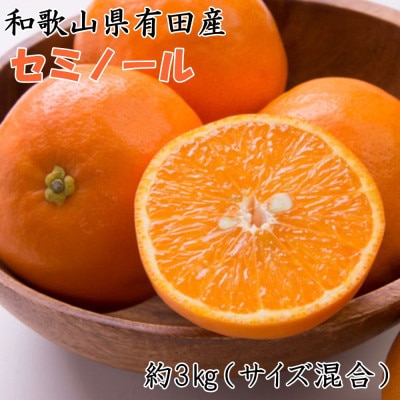 【濃厚オレンジ】和歌山有田産セミノール約3kg(サイズ混合 秀品)(九度山町)【1618720】