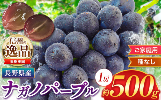 2024年発送 ナガノパープル 500g (1房) 家庭用