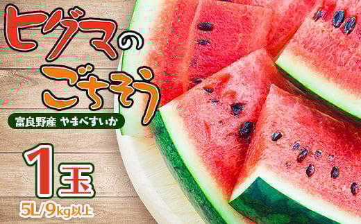 
            ＜2026年発送先行受付＞ヒグマのごちそう(すいか)5L以上　1玉_西瓜 すいか フルーツ 果物 くだもの 北海道 富良野 人気 おすすめ 送料無料 贈答 ギフト やまべすいか【1519714】
          