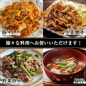 ＜定期便・連続全3回＞鹿児島県産豚切り落とし(計9kg・500g×6パック×3回) 国産 豚肉 切り落とし【おきどき】T77